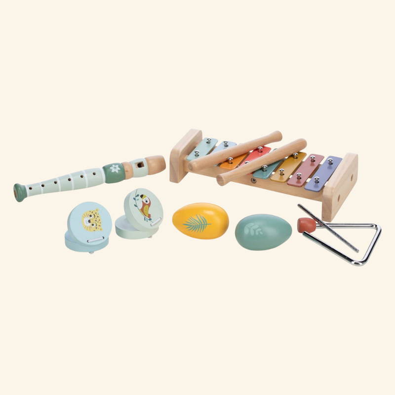 Moj prvi glasbeni set 5 v 1