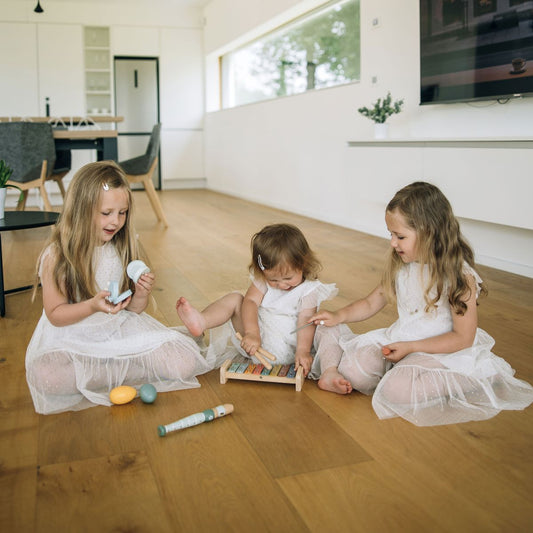 Moj prvi glasbeni set 5 v 1